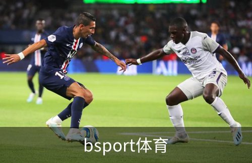 关于bsport体育